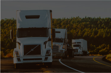 Distribución nacional 